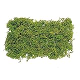 大地農園 天然素材 山ゴケ・大袋(1kg入り) グリーン DO61171-700