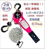 新型　新発売【1年保証】レバーホイスト 750kg （0.75ton）チェーンホイスト 手動式 荷締機［荷締め 荷締め機 チェーンガッチャ チェーンブロック　手動式レバー　高品質輸入直販品 (２台セッ