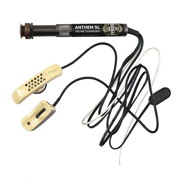 Amazon.co.jp: L.R.BAGGS Element Active VTC アコースティックギター