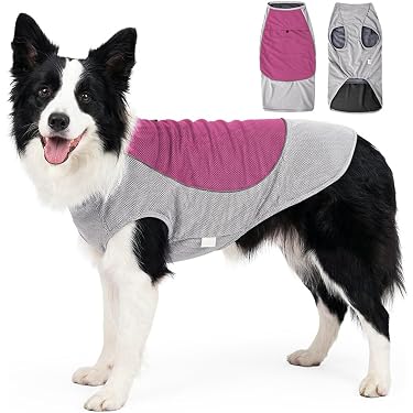 Amazon.co.jp 最新リリース: 犬用服・アクセサリ の新着ランキングです。