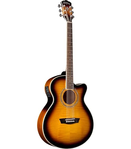 Amazon | WASHBURN (ワッシュバーン) エレアコギター EA20S-NUNO