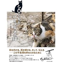 61RrYKbBCML._AC_UL210_SR210,