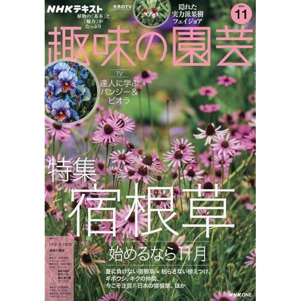 NHKテキスト趣味の園芸 2025年 06 月号 [雑誌] |本 | 通販 | Amazon