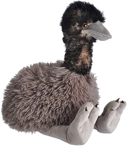 ワイルドリパブリック　ユウティラヌス　 アーティスト　廃盤　希少 81z-ygEaP5L.jpg_BO30,255,255,