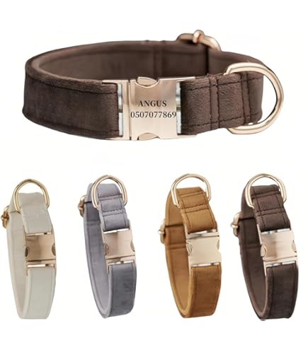 ★美品★COACH　コーチ　シグネチャー　中型犬　首輪　犬用　ペット COACH コーチ ドッグカラー 首輪 小さいサイズ 犬用首輪 犬の