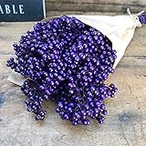パープル ペッパーベリー 1束全部 約100ｇ ドライフラワー