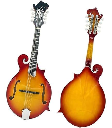 スズキマンドラMD4 SUZUKI VIOLIN ( スズキバイオリン ) MD-4 マンドラ 送料無料
