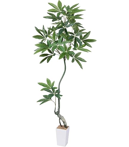 Amazon｜花緑の楽園 人工観葉植物 光触媒品 ドラセナマッサンW(幸福の 