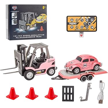 ラジコンカー(クリアーケース付き) Omi さま専用です。 W-1 クリアボックス(ワンタッチ組立式) HEIKO サイズ内寸法 0.3