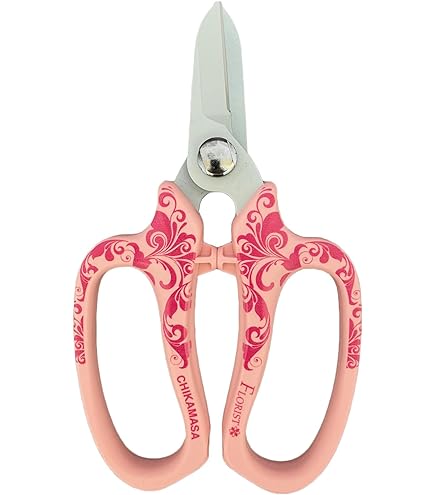 ヴィフィーセ11　ハナサマ adidas ZX 1000 PAM PAM CLEAR BROWN/TRACE PINK/CORE BLACK