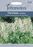 JOFL 英国ジョンソンシード Nicotiana sylvestris ニコチアナ・シルベストリス