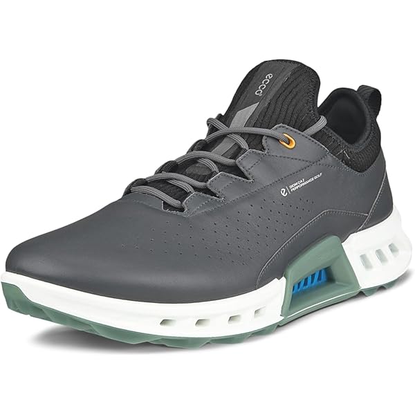 ECCO ゴルフシューズ C4 GORE-TEX ECCO Golf BIOM C4 Hybrid ウィメンズ レザーGore-Texゴルフ