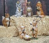 7 Piece Resin Wildlife Nativity Set up to 5.5" Tall [並行輸入品]