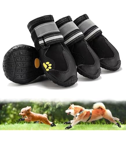 Amazon.co.jp: 犬用クロックス春夏レインブーツペット用品ゴールデン