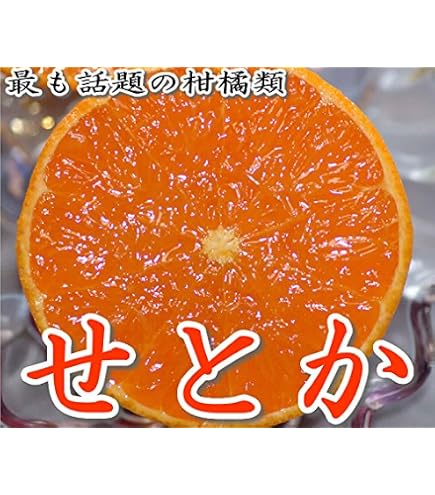 Amazon.co.jp: 【みかんの大トロ せとか 4玉～12玉】 みかん 約1.2kg