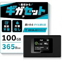 Amazon.co.jp: 国内メーカー直営【ギガセット】チャージ型 ポケット