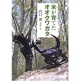 米が育てたオオクワガタ (イワサキ・ノンフィクション)