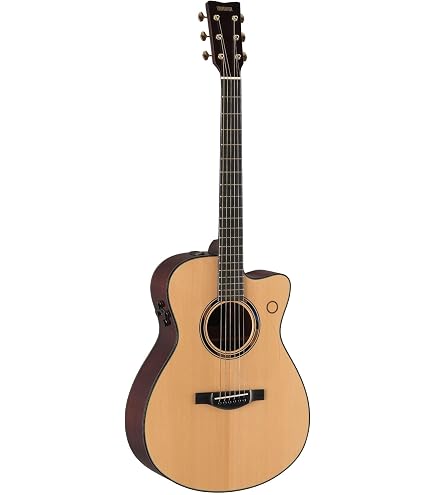 Amazon.co.jp: ヤマハ YAMAHA トランスアコースティックギター(第2世代