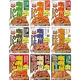 カリー屋 9種コンプリートセット （甘口 中辛 辛口 大辛 ポーク チキン ハヤシ コクデミ キーマ） レンジ対応レトルト非常食