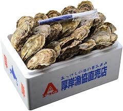 厚岸産 殻かき L 20個セット 北海道 牡蠣 カキ かき 生食 魚介類 マルえもん