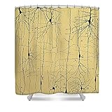 ピクセルArtisticシャワーカーテンfeaturing " Cajal図面の顕微鏡の構造The Brain 1904年" by科学ソース
