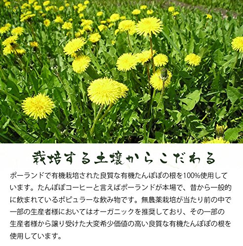 オーガニック たんぽぽコーヒー 2g×40包