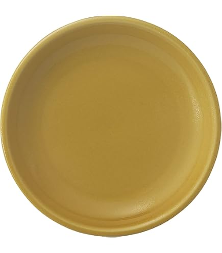 Amazon.co.jp: 光洋陶器 KOYO カフェ 食器 大皿 ディナー プレート 皿
