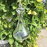 Lovoski 水耕栽培　花瓶　吊りボトル　植物　花　装飾　クリア　ガラス