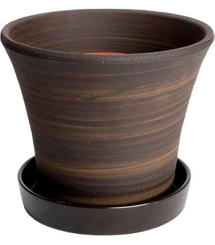 Amazon.co.jp: 信楽焼アンティーク焼締め陶器鉢 口径21.5cm : DIY