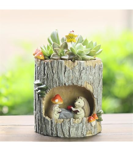 多肉植物　寄せ植え　BOOK型プランター♡ Amazon.co.jp: ブック型 プランター 寄せ植え 多肉植物 植木鉢