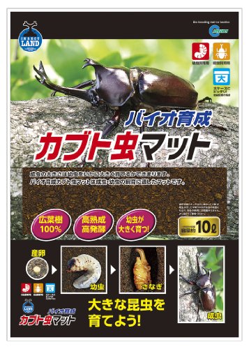 カブトムシ幼虫が土から出てくる 原因は土交換の失敗なの せきさるぶろぐ