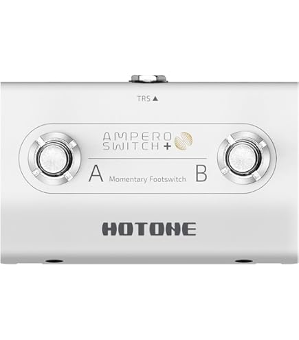 AMPERO CONTROL & SWITCH お得なセット HOTONE ampero control & ampero switchセット