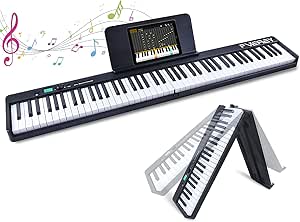 ホットセール 初心者セット 61鍵盤 本格的な音域 フルセット 電子キーボード 鍵盤楽器 Taller Fdp Com