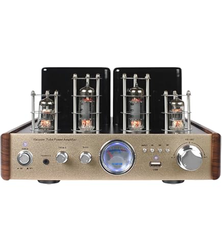 Amazon.co.jp: 真空管アンプ 家庭用 ハイファイ オーディオ 無