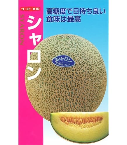 オルフェメロン Amazon.co.jp: 神田育種農場 メロン オルフェ : DIY・工具・ガーデン
