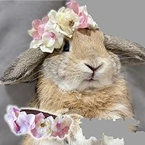 月うさぎ　トリミングチョーカー 020☆A】トリミングリボン トリミングチョーカー うさぎの