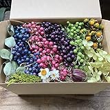 ベリー Berry ドライフラワー 4色セット MIXグラデーションペッパーベリー 8番