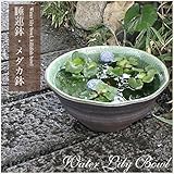 信楽焼 緑風すいれん鉢 睡蓮鉢 スイレン鉢 金魚鉢 水鉢 陶器 su-0021