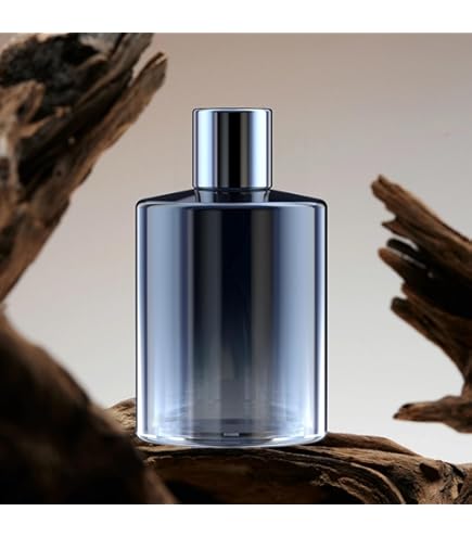 Amazon.co.jp: CEENIU 車用 アロマディフューザー F39専用綿棒 給水芯