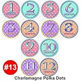 Baby month onesie stickers CHARLAMAGNE Baby Month Onesie Stickers Baby Shower Gift Photo Shower Stic