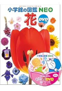 小学館の図鑑 NEO 野菜と果物 | 板木 利隆, 畑中 喜秋, 三輪 正幸