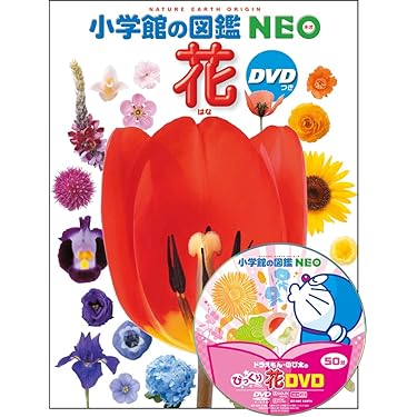 Amazon.co.jp 売れ筋ランキング: 花卉園芸・花づくり の中で最も人気の