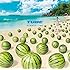 TUBE「SUMMER TIME(通常盤)」