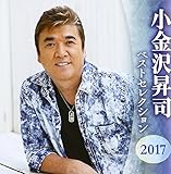 �����򏸎i �x�X�g�Z���N�V����2017