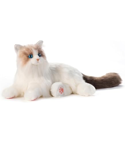 Amazon.co.jp: Chongker ぬいぐるみ ハンドメイド リアルな猫