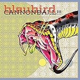 �L���m���{�[��!!!