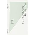 うつ・パニックは「鉄」不足が原因だった (光文社新書)