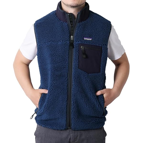 patagonia パタゴニア フリースベスト Lサイズ ベージュ 青 z-craft_2087-0462