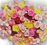 産地直送☆バラの花束カラフルMix♪