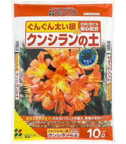 Amazon | 自然応用科学 水はけのよい 君子蘭の土 12L | 用土